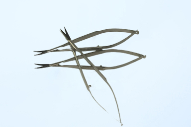醫（yī）療器（qì）械塗（tú）層